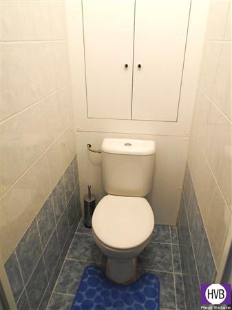 photo_11