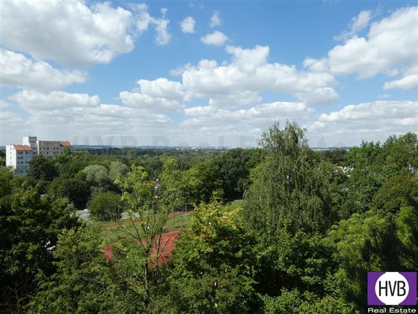 photo_5