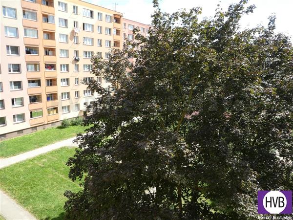 photo_6