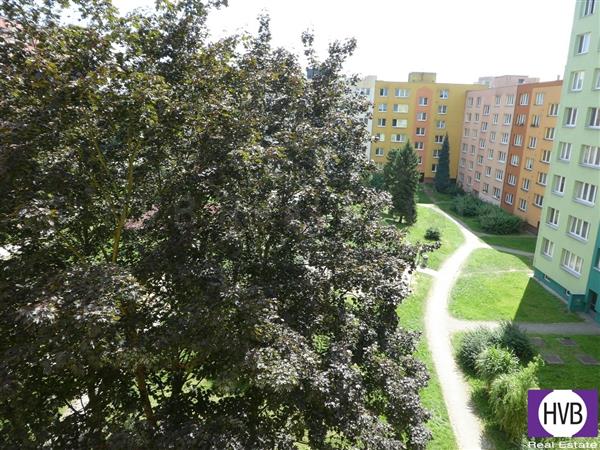photo_7