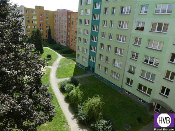 photo_8