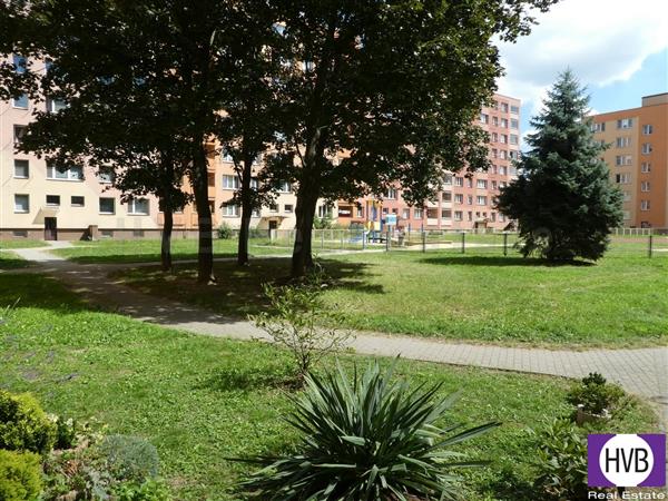photo_10