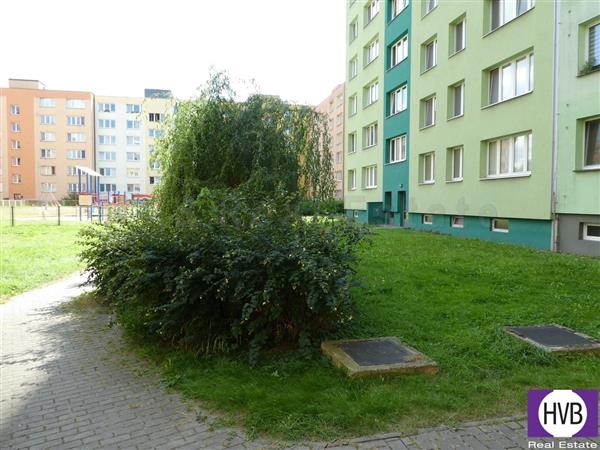 photo_11