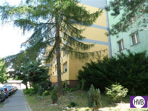 photo_16