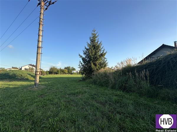 photo_4