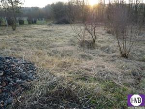 photo_1