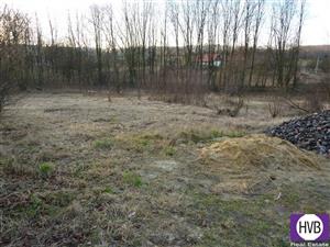 photo_2
