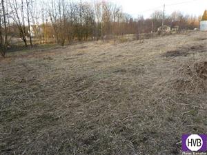 photo_3