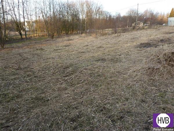 photo_3