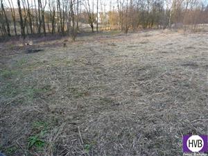 photo_4
