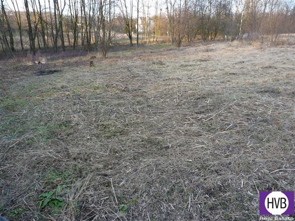 photo_4