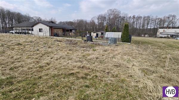 photo_2