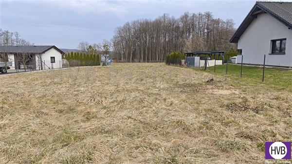 photo_3