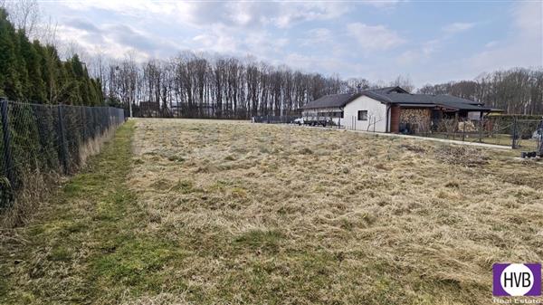 photo_1