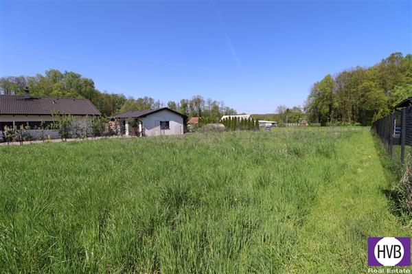 photo_3