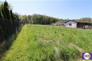 photo_4