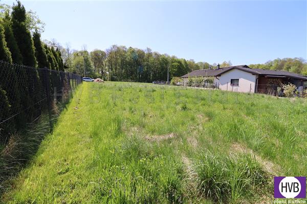 photo_4