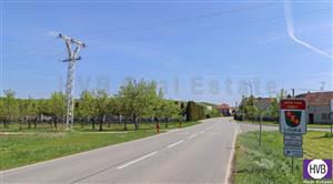 photo_1