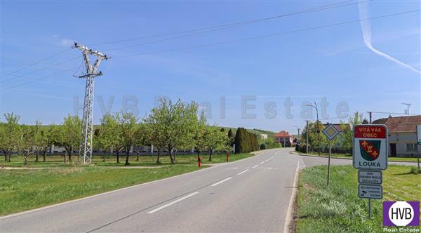 photo_12