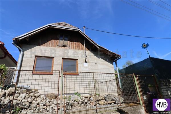 photo_19