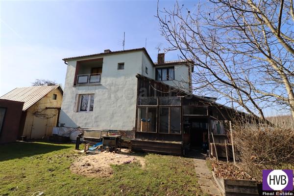 photo_4