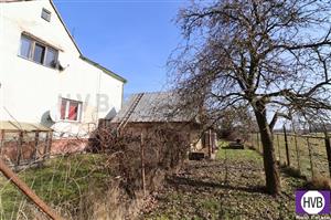 photo_3