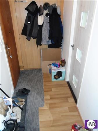 photo_11