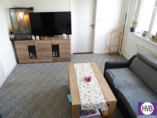 photo_2