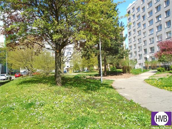 photo_15