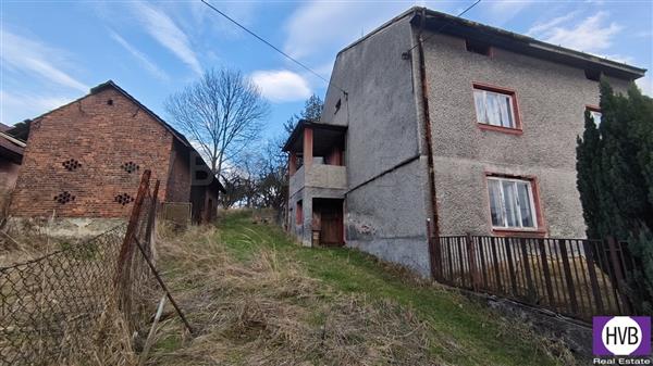 photo_1