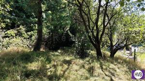 photo_13