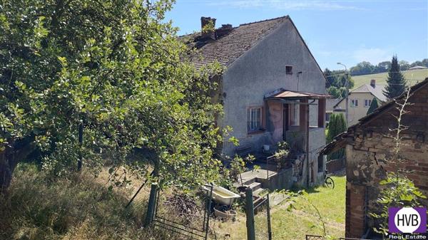 photo_16