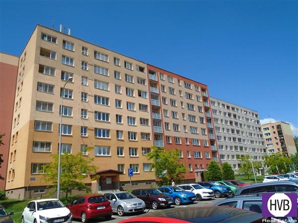 photo_19