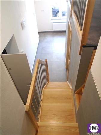 photo_4