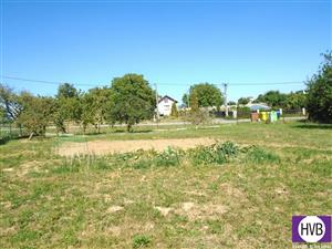 photo_3