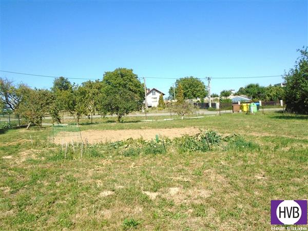 photo_3