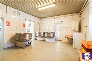 photo_6