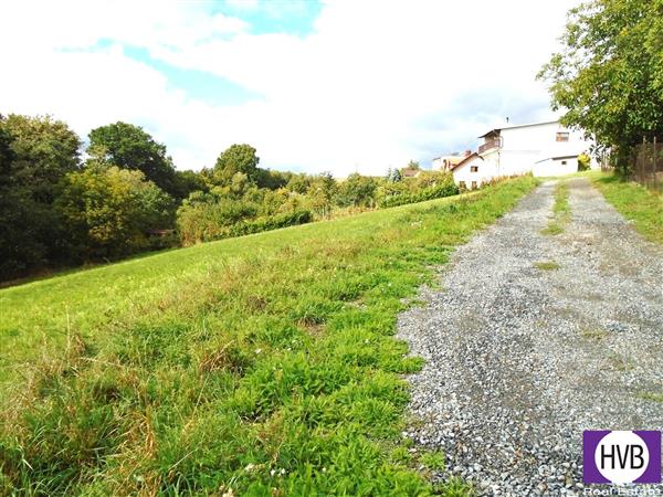 photo_4