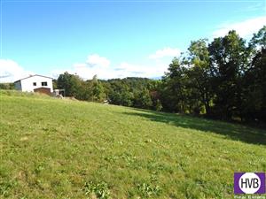 photo_3