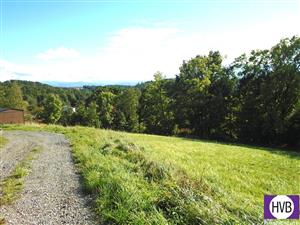 photo_5