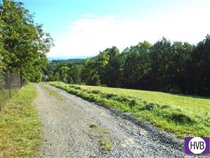 photo_6