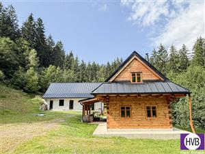 photo_3