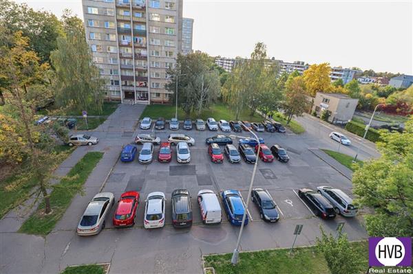 photo_8