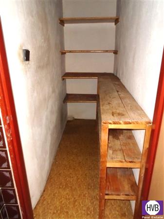 photo_12