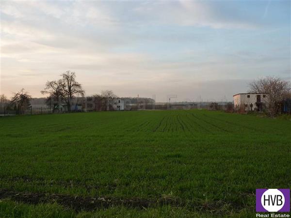photo_2