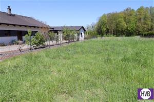 photo_6