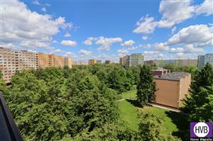 photo_4
