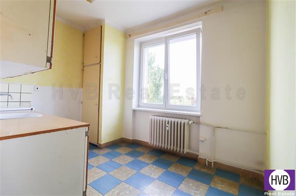 photo_6