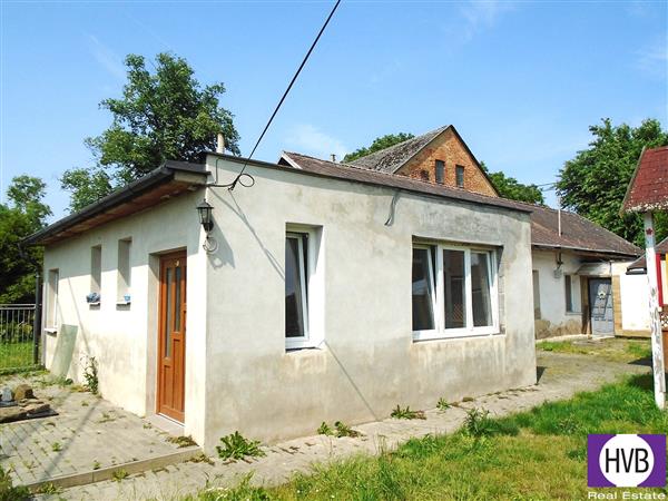photo_17