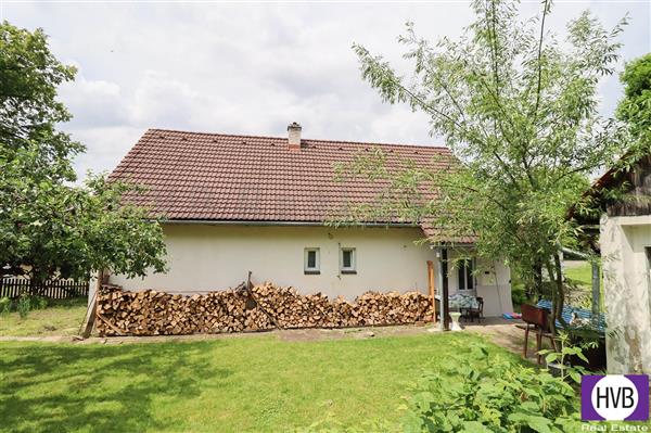 photo_18